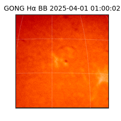 gong - 2025-04-01T01:00:02