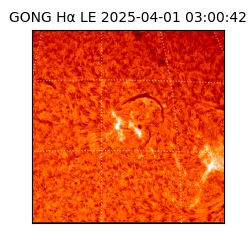 gong - 2025-04-01T03:00:42