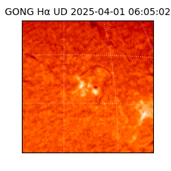 gong - 2025-04-01T06:05:02