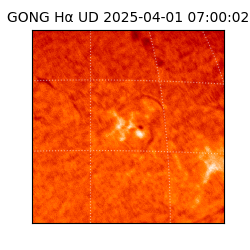 gong - 2025-04-01T07:00:02