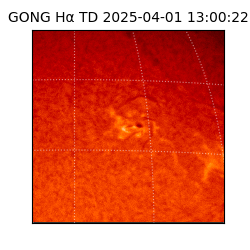 gong - 2025-04-01T13:00:22