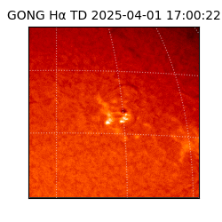 gong - 2025-04-01T17:00:22