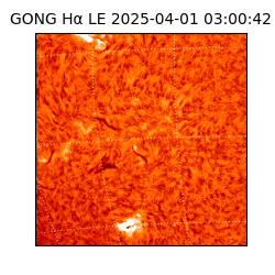 gong - 2025-04-01T03:00:42