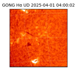 gong - 2025-04-01T04:00:02