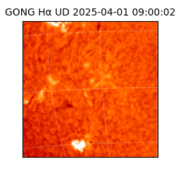 gong - 2025-04-01T09:00:02