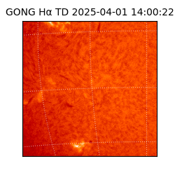 gong - 2025-04-01T14:00:22