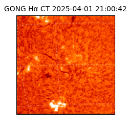 gong - 2025-04-01T21:00:42