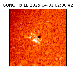 gong - 2025-04-01T02:00:42