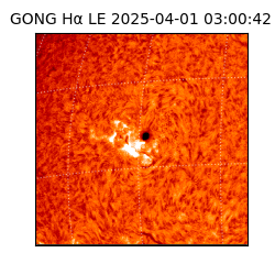 gong - 2025-04-01T03:00:42