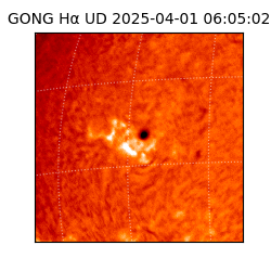 gong - 2025-04-01T06:05:02