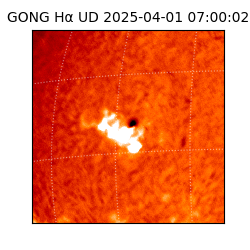 gong - 2025-04-01T07:00:02