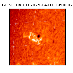 gong - 2025-04-01T09:00:02