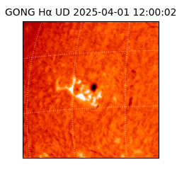 gong - 2025-04-01T12:00:02