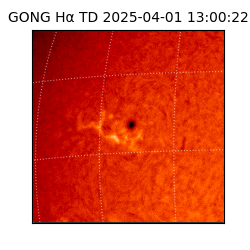 gong - 2025-04-01T13:00:22