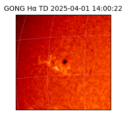 gong - 2025-04-01T14:00:22