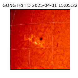gong - 2025-04-01T15:05:22