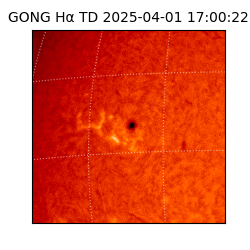 gong - 2025-04-01T17:00:22