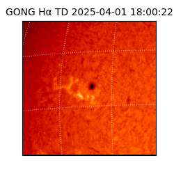gong - 2025-04-01T18:00:22