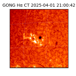 gong - 2025-04-01T21:00:42
