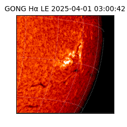 gong - 2025-04-01T03:00:42