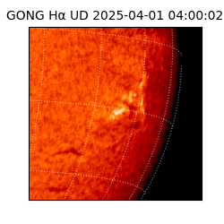 gong - 2025-04-01T04:00:02