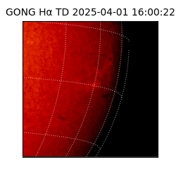 gong - 2025-04-01T16:00:22