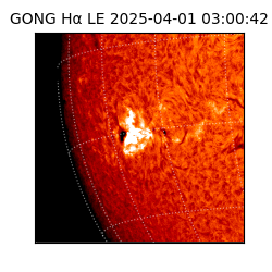 gong - 2025-04-01T03:00:42