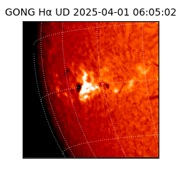 gong - 2025-04-01T06:05:02