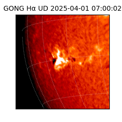 gong - 2025-04-01T07:00:02