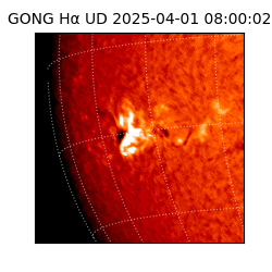 gong - 2025-04-01T08:00:02