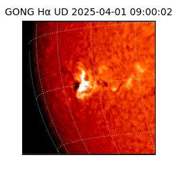 gong - 2025-04-01T09:00:02