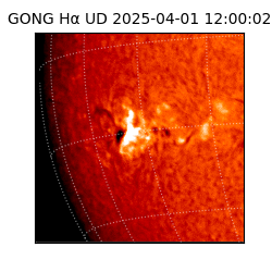 gong - 2025-04-01T12:00:02