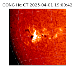 gong - 2025-04-01T19:00:42