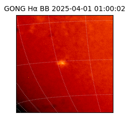 gong - 2025-04-01T01:00:02
