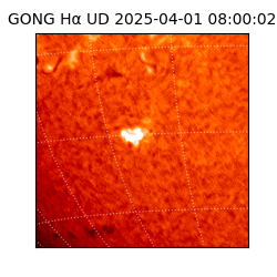 gong - 2025-04-01T08:00:02