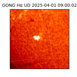 gong - 2025-04-01T09:00:02