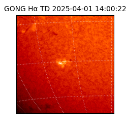 gong - 2025-04-01T14:00:22