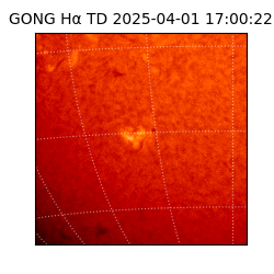 gong - 2025-04-01T17:00:22
