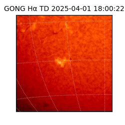 gong - 2025-04-01T18:00:22