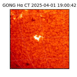 gong - 2025-04-01T19:00:42