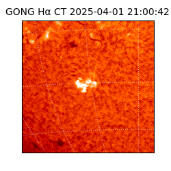 gong - 2025-04-01T21:00:42