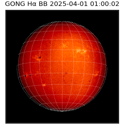gong - 2025-04-01T01:00:02