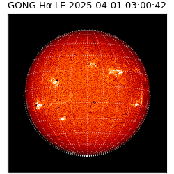 gong - 2025-04-01T03:00:42