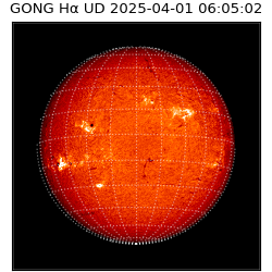 gong - 2025-04-01T06:05:02