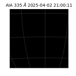 saia - 2025-04-02T21:00:11.010000