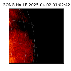 gong - 2025-04-02T01:02:42