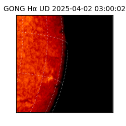 gong - 2025-04-02T03:00:02