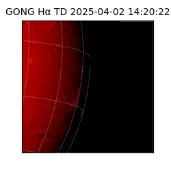 gong - 2025-04-02T14:20:22