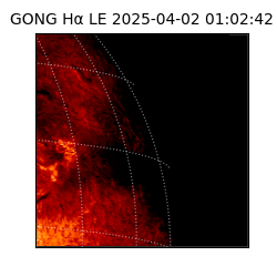 gong - 2025-04-02T01:02:42