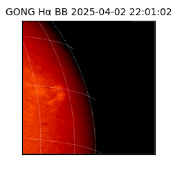 gong - 2025-04-02T22:01:02